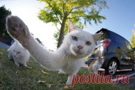 ээй! Не пали контору!