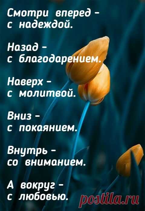 Пряжа и хлопковый шнур Spagetti ® Спагетти