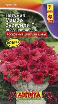 Семена. Петуния многоцветковая 
