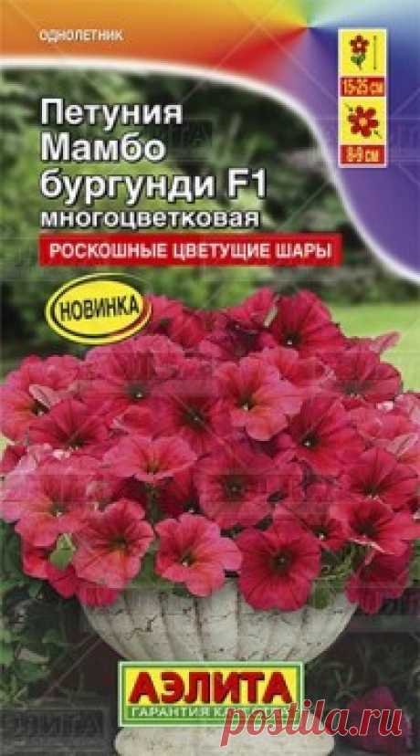 Семена. Петуния многоцветковая "Мамбо F1", бургунди, однолетник (7 штук) Всхожесть: 92%.
Ценная серия генетически низкорослых, обильно цветущих гибридов. Высота взрослых растений от 15 см (в горшках) до 25 см (в открытом грунте). Применять регуляторы роста не нужно. Компактные кусты цветут парадоксально крупными для карликов цветками диаметром 8-9 см и...
