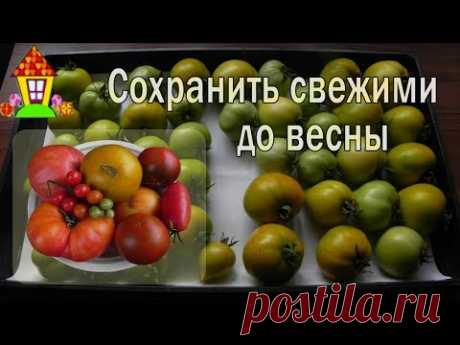 Почта Mail.Ru