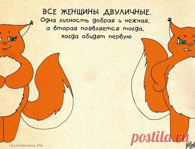 20 комиксов о крошке Ши, самой оптимистичной белке в мире