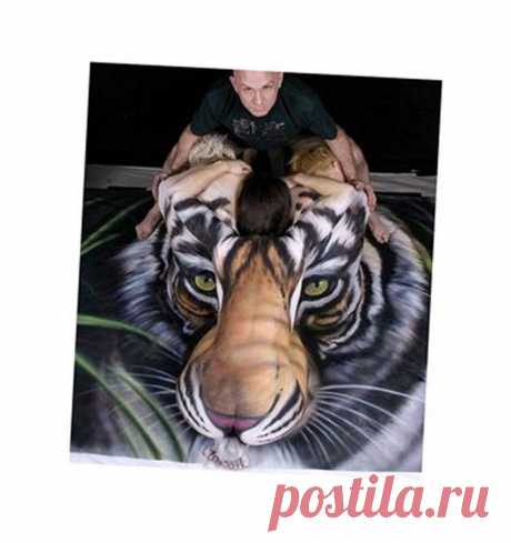 Проверьте свою наблюдательность - Фото - Калейдоскоп Эмоций