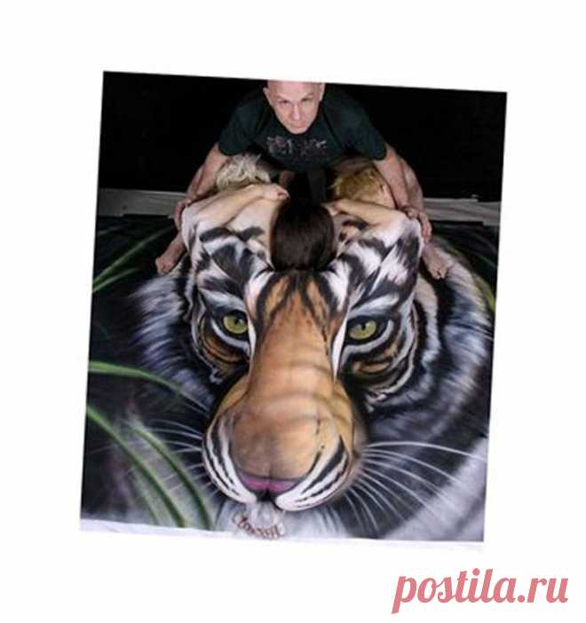 Проверьте свою наблюдательность - Фото - Калейдоскоп Эмоций