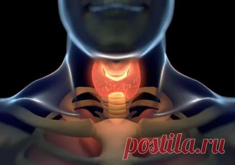 (4) Многоликий гипотиреоз: под какими масками прячется одно из самых распространенных заболеваний щитовидки - ПолонСил.ру - социальная сеть здоровья - 28 июля - 43992678196 - Медиаплатформа МирТесен