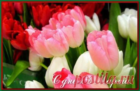 Музыкальные поздравления к празднику 8 марта. Флешки.