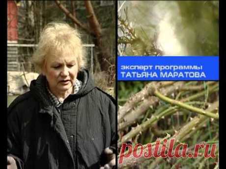 Выставка садово-дачных новинок и уход за розами весной