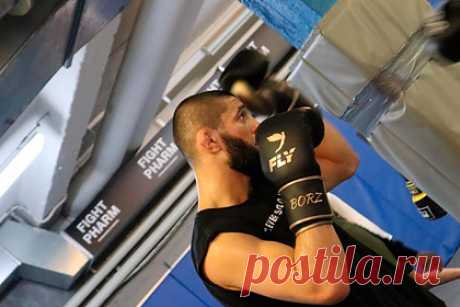 Чимаев ответил на вызов ветерана UFC. Шведский боец смешанного стиля (MMA) Хамзат Чимаев написал, что принимает вызов ветерана Абсолютного бойцовского чемпионата (UFC) американца Нила Магни. Спортсмен обратился к президенту промоушена Дэйне Уайту с просьбой организовать этот поединок. «Дай мне съесть этого парня», — заявил Чимаев.
