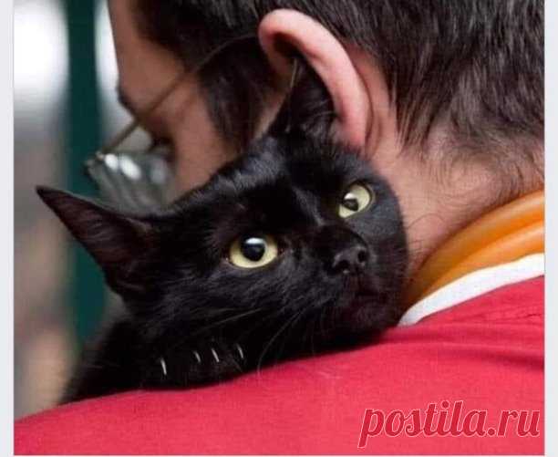 МАНЯ ❤