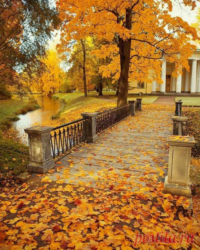 Золотая осень в Царском Селе.
Санкт-Петербург. 📷 nataabramova