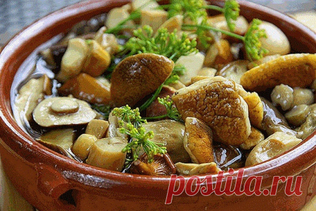 МАРИНАД ДЛЯ ЛЮБЫХ ГРИБОВ