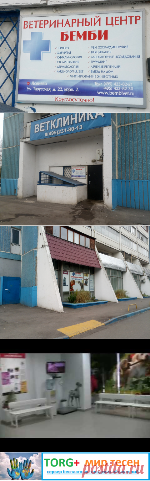 Ветеринарная клиника рядом с метро Ясенево.
