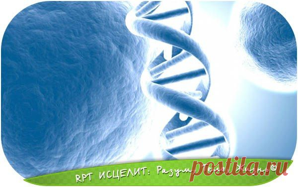 ✨10 способов повысить свою осознанность©²º¹³