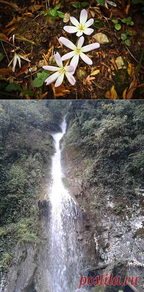Абхазия. Шакуранские водопады, путешествие в сказочный лес | Велемудр