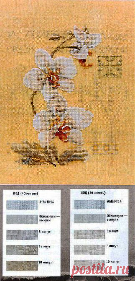 Окрашивание и тонирование канвы