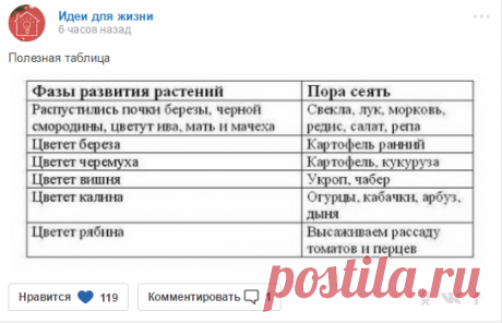 (2) Мой Мир@Mail.Ru