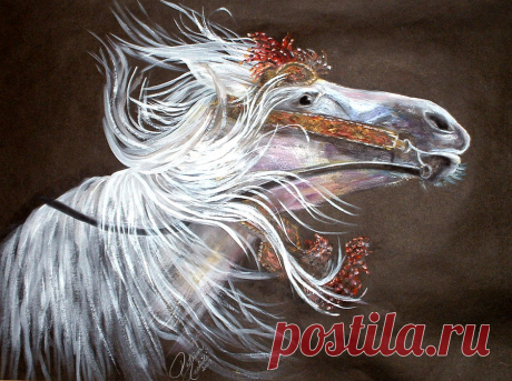 Arabian Stallion by Patricia Rachidi