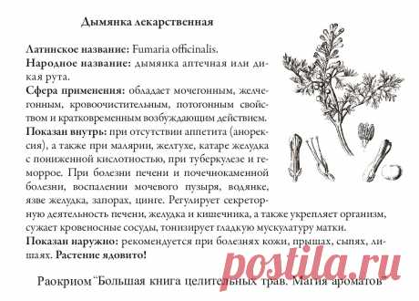 Дымянка лекарственная