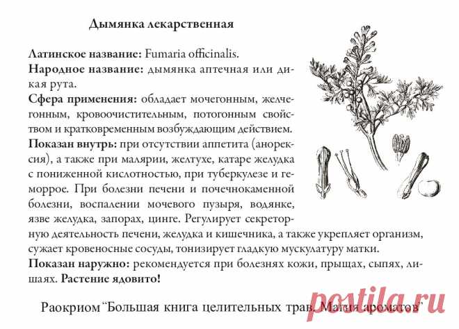 Дымянка лекарственная