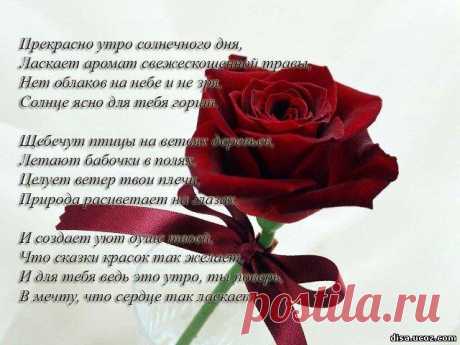 Теплые и нежные слова любимой девушке в стихах: на ночь перед сном, на день, с добрым утром, о любви (28 картинок) ⭐ Забавник