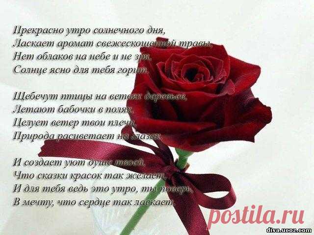 Теплые и нежные слова любимой девушке в стихах: на ночь перед сном, на день, с добрым утром, о любви (28 картинок) ⭐ Забавник