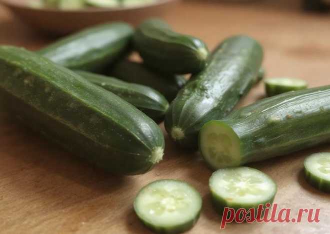 Что надо есть, чтобы похудеть после 60-ти | Здоровый Дух | Дзен