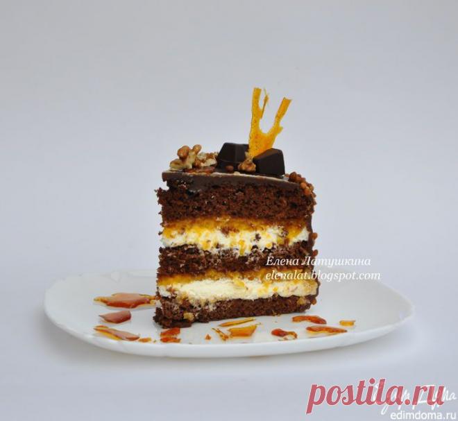 Торт "Шоколад, кофе, абрикос" пользователя Elen@Lat | Портал кулинарных рецептов «Едим дома!»