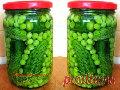 Огурцы и зеленый горошек на зиму для салата «Оливье» 
Прекрасная и вкусная альтернатива магазинному горошку и огурчикам. Идеальный вкус и все в одной банке. Попробуйте!
 
Для консервирования огурцов и зеленого горошка вам понадобится (на 1банку объемом …
