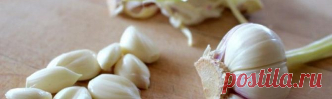После чего лучше сажать чеснок под зиму (осенью)