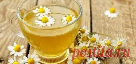 Полезные свойства ромашкового чая