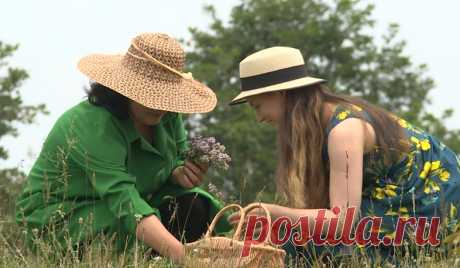«Դարման» խոտաբույսերը եվրոպական շուկայում - Հանրային հեռուստաընկերություն լուրեր