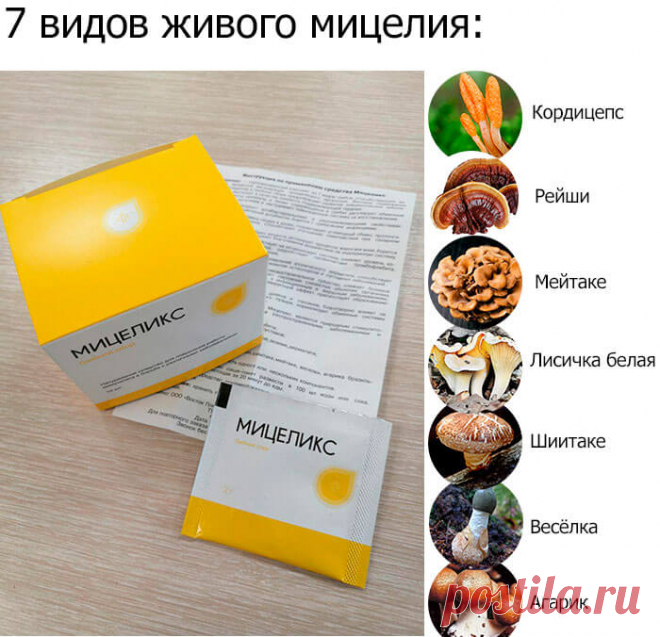 Мицеликс грибной сбор за 147 руб