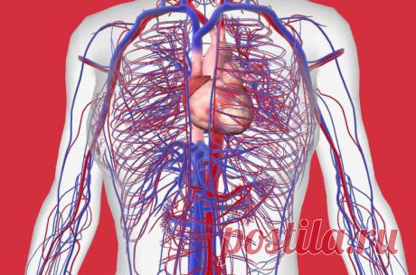 Гипертония гормонального происхождения Причины вторичной гипертонии лежат в области нарушения работы эндокринной системы. Факторы внешней среды, которые влияют на тело человека — погодные условия, температурный режим, а также происходящие изменения в работе внутренних органов в процессе эволюции создали уникальную систему адаптации.