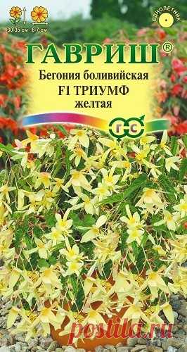 Бегония боливийская "F1 Триумф", желтая, гранулированная