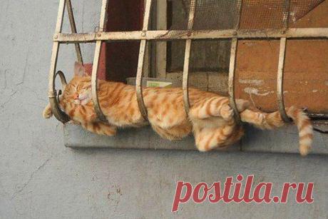 всё про сон