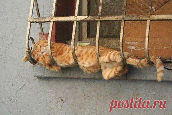 всё про сон