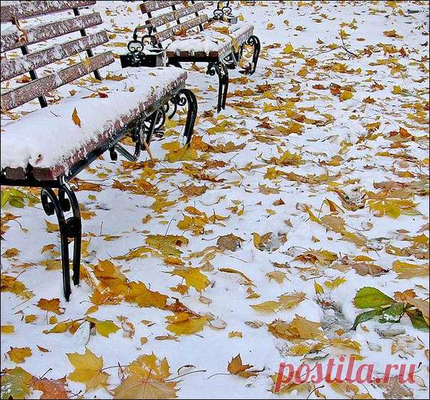 КАКОЙ СЕГОДНЯ ПРАЗДНИК? 30 Ноября 2016 г. – Среда • Праздник неглиже • Всемирный день слонов • День держания хвоста трубой и носа морковкой • Международный день защиты информации28 лет • Всемирный день домашних животных (World Day Pets) • День независимости - Йемен49 лет • Именины у Григория, Лазаря, Никона, Михаила, Ивана, Геннадия • День преподобного Никона Радонежского