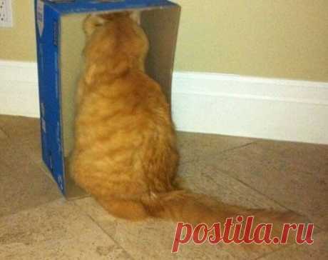 НАКАЗАН!!

Вам Улыбка на страничку присоединяйтесь в группу &gt;&gt; ok.ru/darteplo