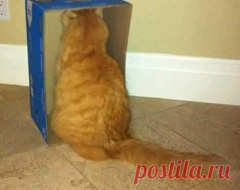 НАКАЗАН!!

Вам Улыбка на страничку присоединяйтесь в группу >> ok.ru/darteplo