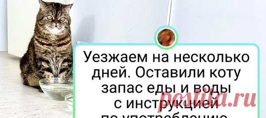 20+ человек, которые любят своих питомцев всеми фибрами души