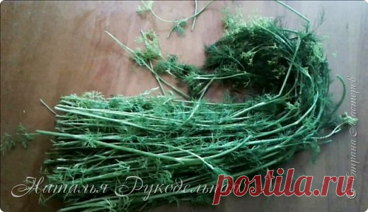 Не выкидывайте стебли укропа. Рецепт. | Страна Мастеров