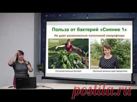 Биопрепараты Сияние.  Где использовать и как применять