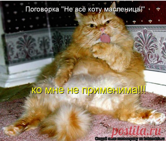 Масленичная котоматрица