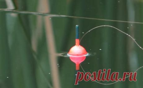 Поплавочная ловля - а все ли так просто на самом деле?