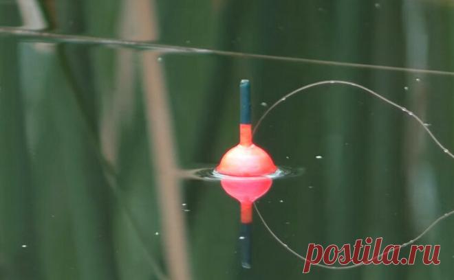 Поплавочная ловля - а все ли так просто на самом деле?