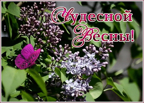 Картинка счастливой весны