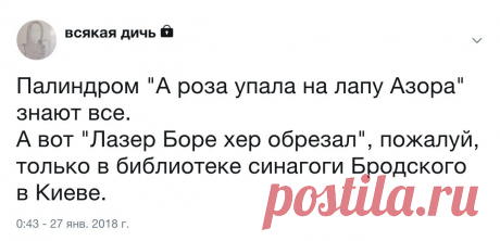 Лазер Боре хер обрезал - палиндром &amp;bull; zabaka.net