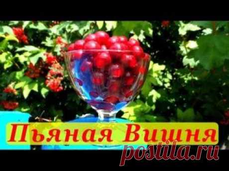 Лучшие рецепты настоек и наливок на самогоне. Как приготовить своими руками? | Про самогон и другие напитки |
