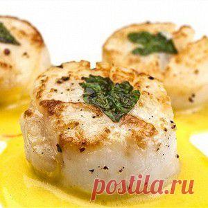 Морские гребешки с петрушкой  – основные блюда