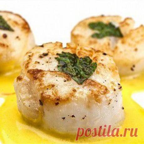 Морские гребешки с петрушкой  – основные блюда